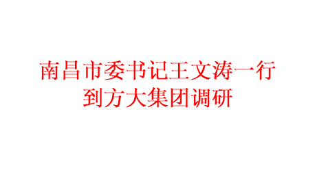 為推進項目建設 加快產業發展南昌市委書記王文濤一行到方大集團調研